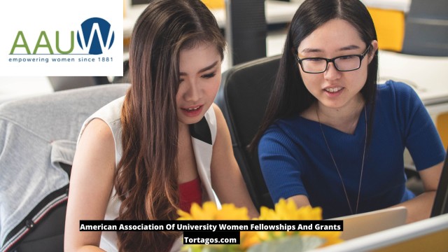 American Association Of University Women Fellowships And Grants