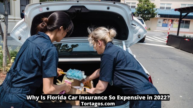 Why Is Florida Car Insurance So Expensive in 2022?